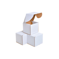 Картонні коробки 100x100x100 білі